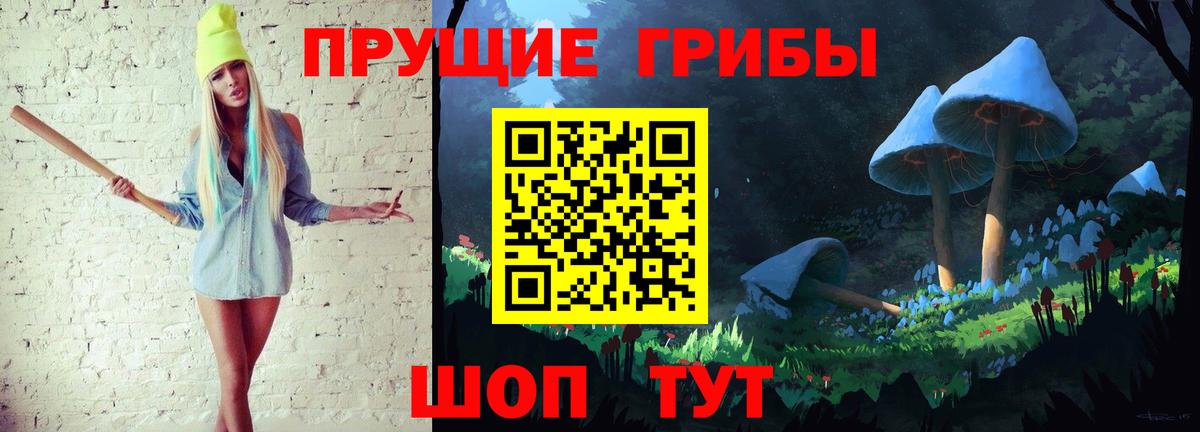 Кашира  Галлюциногенные грибы MAGIC MUSHROOMS  цены наркотик  Вход с VPN 